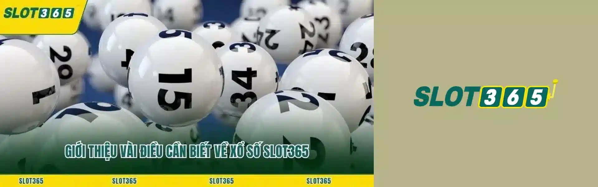 SLOT365 Banner